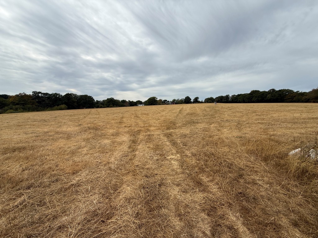 Lot: 43 - LAND WITH PLANNING FOR OVER 50,000 SQUARE FEET OF COMMERCIAL SPACE - Land